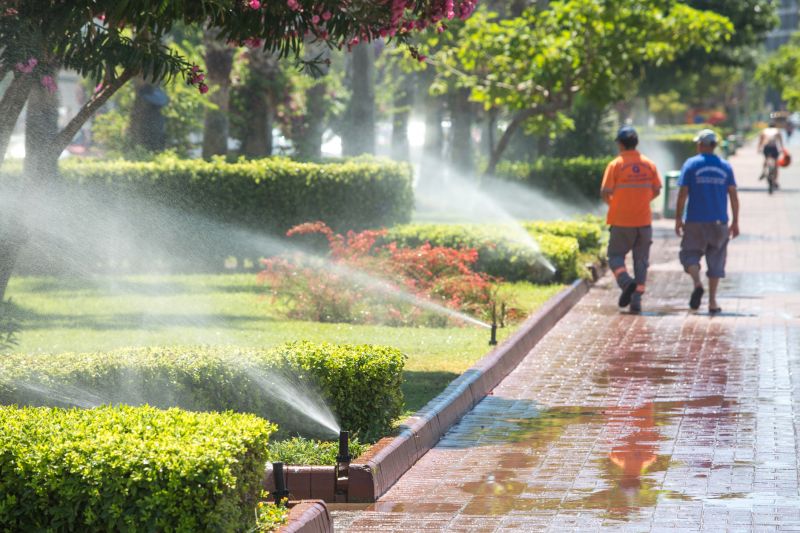 Plant Irrigation Installation Service