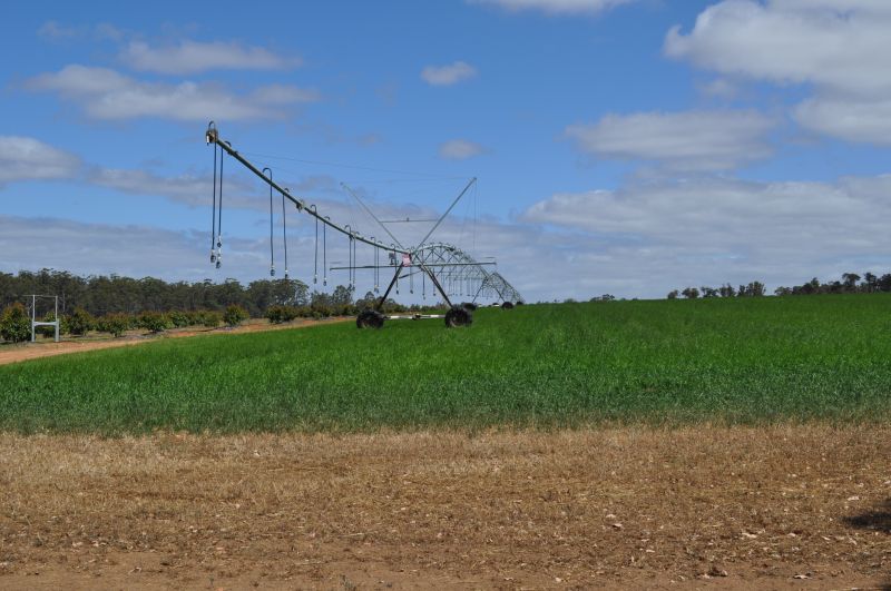 Plant Irrigation Installation detail